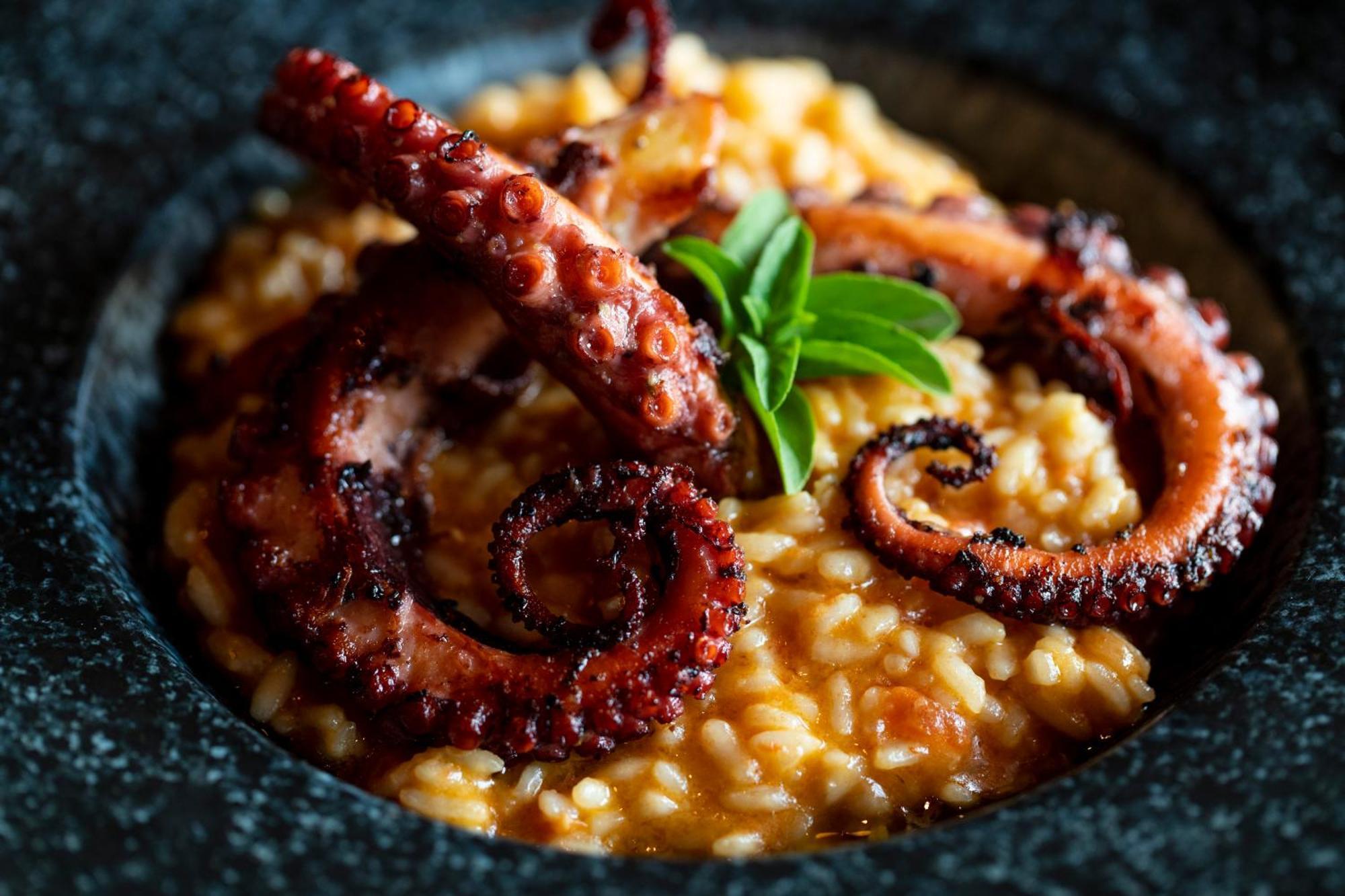 B Hotel บราซิเลีย ภายนอก รูปภาพ Risotto alla marinara